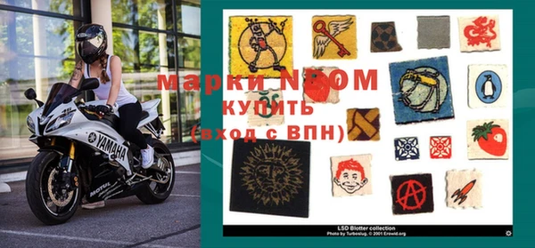 мдпв Белокуриха
