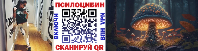 Псилоцибиновые грибы прущие грибы  купить   Биробиджан 