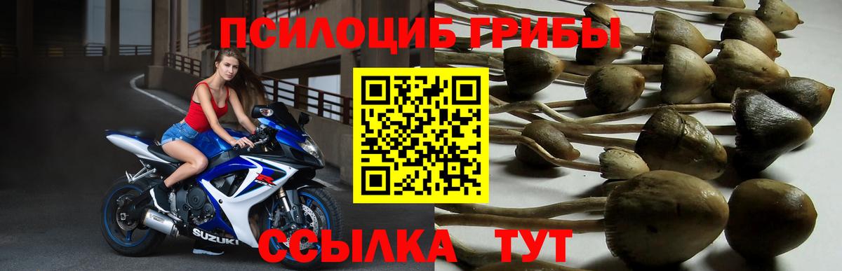 Галлюциногенные грибы мухоморы  Биробиджан  цены   Галлюциногенные грибы прущие грибы 