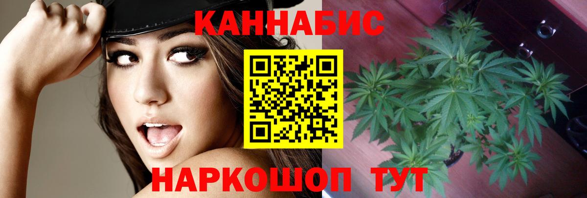 Шишки марихуана тримм  Биробиджан  Бошки марихуана VHQ 